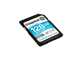 Kingston Canvas Go Plus 128GB SDXC Speicherkarte, Class 10, 170R, UHS-I, U3, V30 (SDG3/128GB)