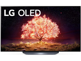 LG OLED55B13LA OLED 4K UHD HDR webOS Smart LED Fernseher