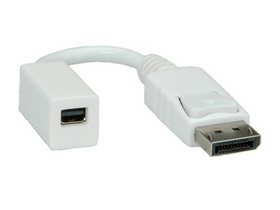 ROLINE Adapter DisplayPort  - mini DisplayPort  M/F