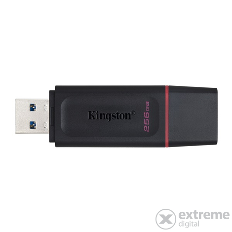Kingston 256GB USB3.2 DataTraveler exodu USB klíč (DTX / 256GB)